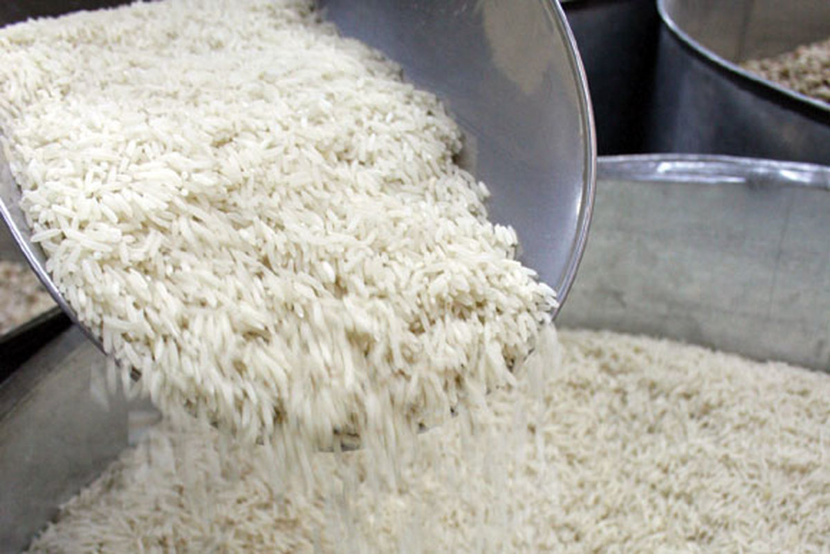 رکورد برنج ۱۲ هزار تومانی برای اولین بار در دولت روحانی رقم خورد/ برنج در دولت یازدهم ۷۰ درصد گران شد+ نمودار