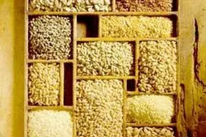 واردات غلات به کشور ۵۵ درصد افزایش یافت/ دولت سال گذشته ۱۶.۵ میلیون تن غلات وارد کرد