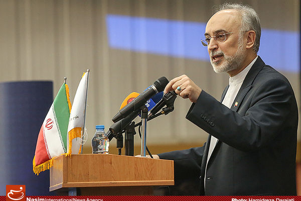 راهبرد جدید ایران ساخت راکتورهای کوچک در همکاری با کشورها است
