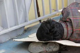 در محله کارتن‌خواب‌ها ...