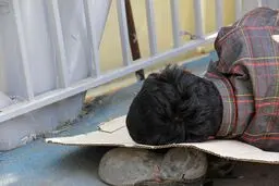در محله کارتن‌خواب‌ها ...