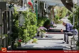 تاریخ خودمان را با یکسان‌سازی مزارهای شهدا مخدوش نکنیم/یکسان‌سازی مزارهای شهدا، بدون پشتوانه فرهنگی است