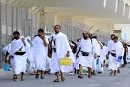 نارضایتی شدید حجاج پاکستانی در پی کشته شدن ۵۴ نفر از آنها