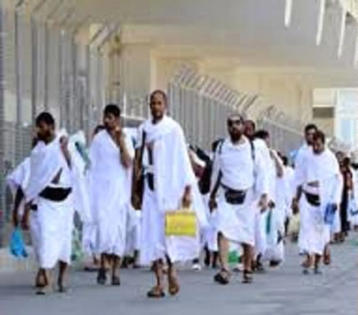 نارضایتی شدید حجاج پاکستانی در پی کشته شدن ۵۴ نفر از آنها