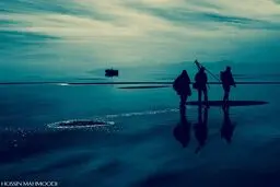 مگس سفید، یوز ایرانی، مهران مدیری و فیلمسازانی که آلودگی را نمی‌بینند