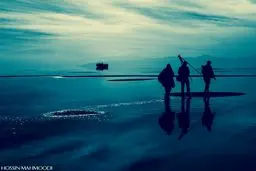 مگس سفید، یوز ایرانی، مهران مدیری و فیلمسازانی که آلودگی را نمی‌بینند