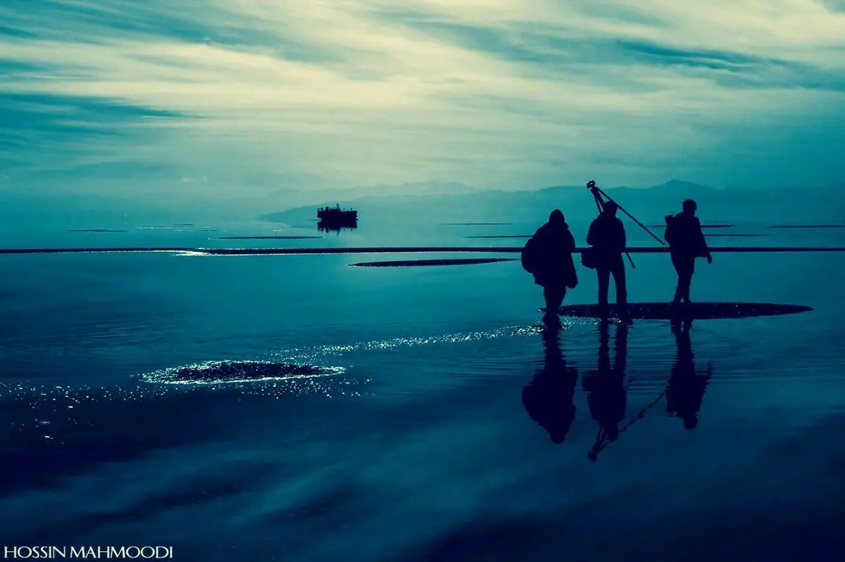 مگس سفید، یوز ایرانی، مهران مدیری و فیلمسازانی که آلودگی را نمی‌بینند