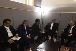 رحمانی فضلی در نیویورک با وزیر خارجه ارمنستان دیدار کرد