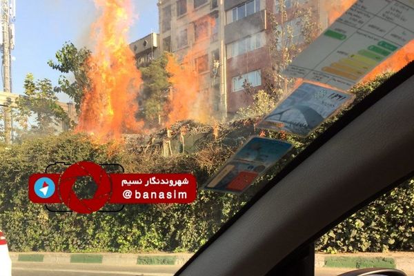 عکس خبری :: آتش‌سوزی در حاشیه اتوبان همت - شریعتی