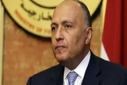 اعتراف مصر به اختلاف نظر با عربستان در مورد سوریه