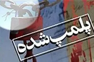 پلمپ ۱۶ رستوران و باغ ویلا در استان البرز