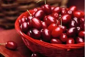 زغال اخته ۱۸ هزار تومانی ارمنی در بازار/ واردات پرتقال از مصر و آفریقا