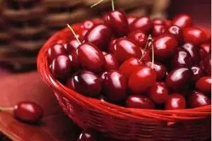 زغال اخته ۱۸ هزار تومانی ارمنی در بازار/ واردات پرتقال از مصر و آفریقا