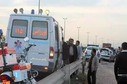 تصادف مرگبار کامیون با ۲۰۶/ ۵ عضو یک خانواده در دم جان باختند