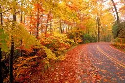 کاهش ۵ تا ۱۰ درجه‌ای دما در نوار شمالی کشور