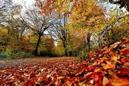 تداوم هوای سرد و بارش در نوار شمالی کشور/ تهران خنک‌تر می‌شود