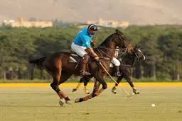 پیروزی تیم ملی چوگان ایران مقابل آرژانتین در دیداری دوستانه و خیریه