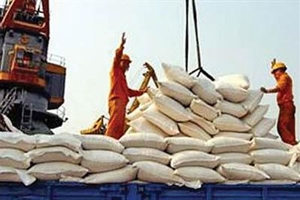 واردات برنج ۱۷ درصد رشد کرد/ رشد ۹۱ درصدی ورود روغن پالم