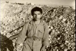 مستند 