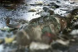 مردم یمن امیدی به اقدام مجامع بین‌المللی علیه جنایات آل‌سعود نداشته باشند