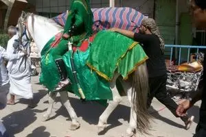 عکس خبری - عزاداری هیئات هندی در روز هشتم محرم در کربلا