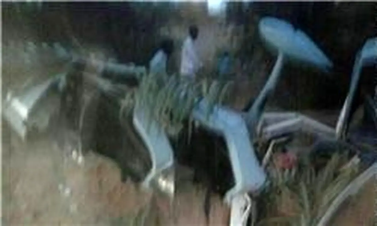 یک فروند هواپیمای فوق سبک جایرو پلن در جنوب شرق کشور دچار سانحه شد