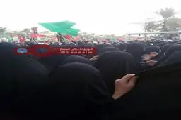 ۲۰ هزار زائر ایرانی در کربلا حضور دارند / تا اربعین روزانه ۵۰ کاروان به عراق اعزام می شود
