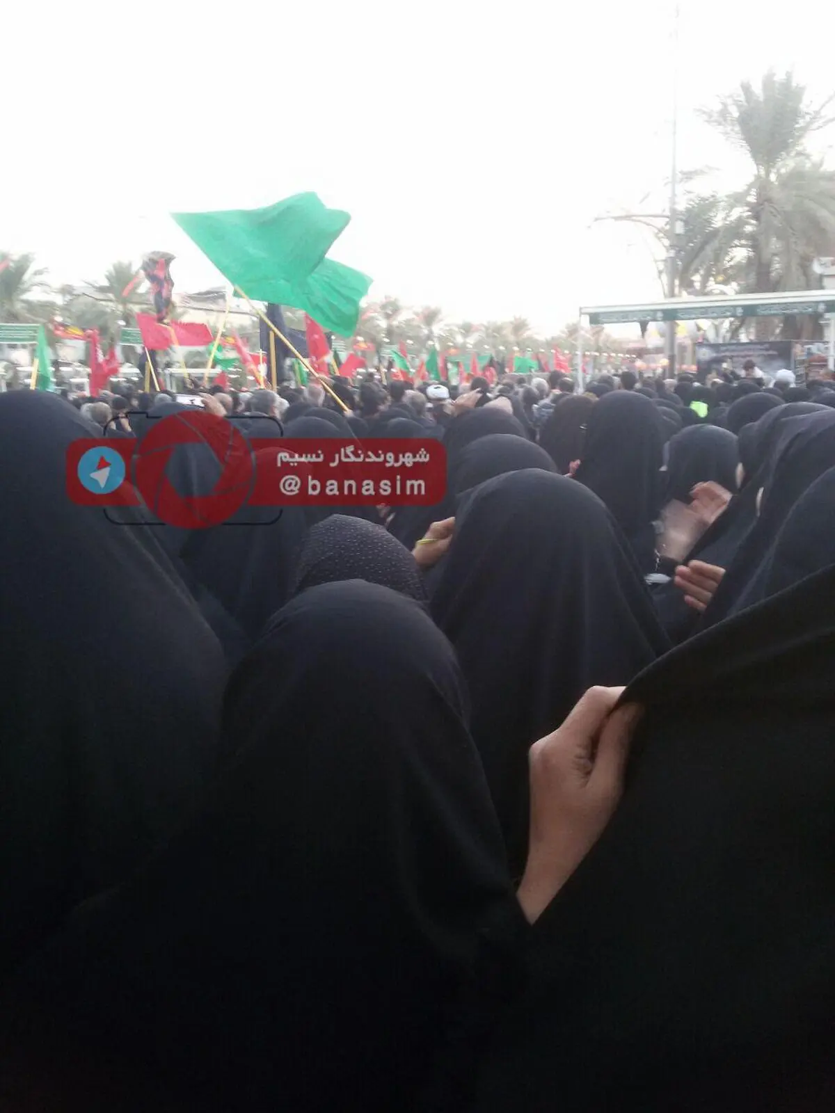 ۲۰ هزار زائر ایرانی در کربلا حضور دارند / تا اربعین روزانه ۵۰ کاروان به عراق اعزام می شود