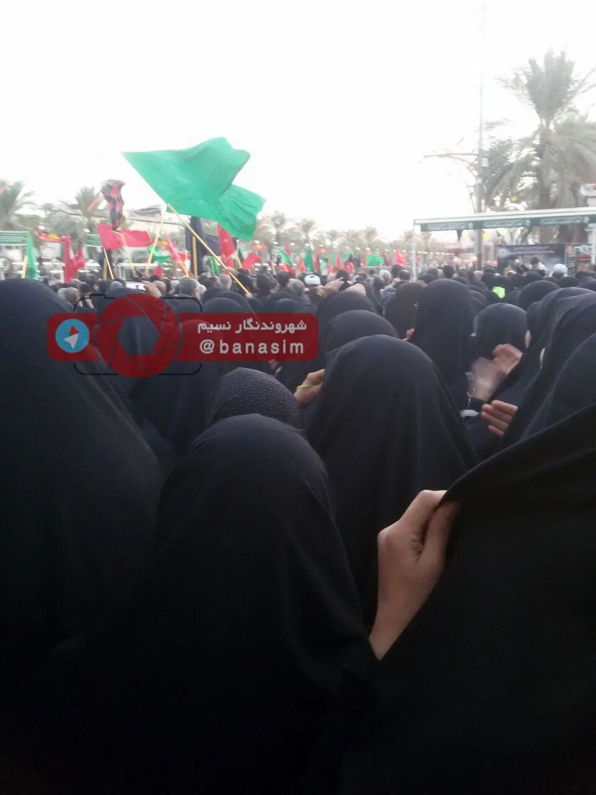 ۲۰ هزار زائر ایرانی در کربلا حضور دارند / تا اربعین روزانه ۵۰ کاروان به عراق اعزام می شود