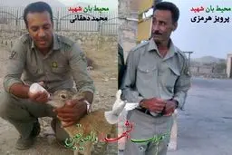 قاتلان دو محیط بان هرمزگانی به قصاص در ملاءعام محکوم شدند