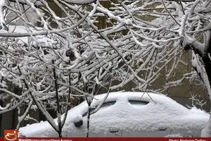 ورود موج جدید بارشی از روز دوشنبه/ بارش برف در برخی استان‌ها