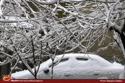 ورود موج جدید بارشی از روز دوشنبه/ بارش برف در برخی استان‌ها