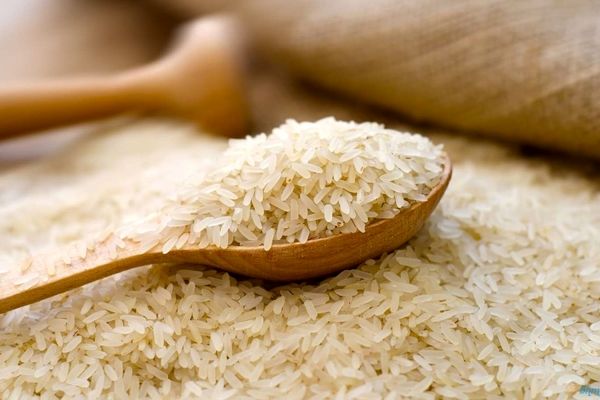 واردات ۷۰۰ هزار تن برنج تایلندی راهکار دولت روحانی برای مقابه با گرانی برنج!
