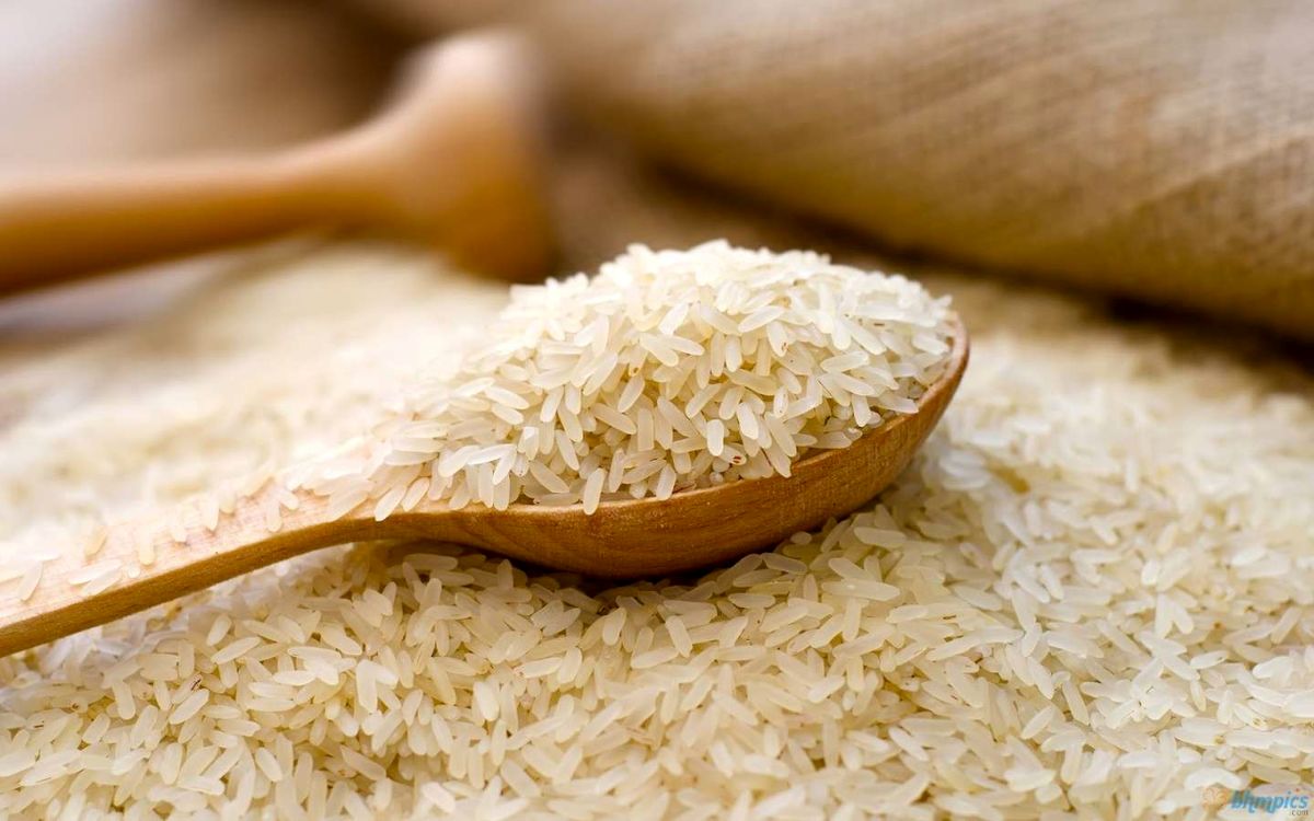 واردات ۷۰۰ هزار تن برنج تایلندی راهکار دولت روحانی برای مقابه با گرانی برنج!