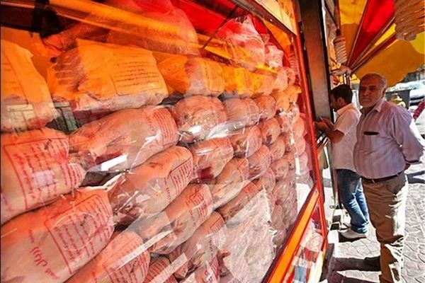 مرغ ۷۰۰ تومان گران شد/ ترکیه بازار مرغ ایران را در عراق گرفت!