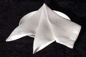 دولت یازدهم ۲۷ تن دستمال مرطوب از یونان و لهستان وارد کرد/ امارات هم در لیست صادرکنندگان دستمال به ایران قرار گرفت!