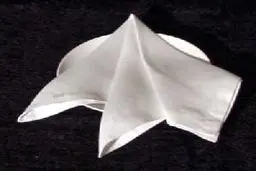 ۷ کارخانه تولید دستمال کاغذی در اثر واردات بی‌رویه تعطیل شد