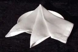 ۷ کارخانه تولید دستمال کاغذی در اثر واردات بی‌رویه تعطیل شد