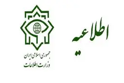 دستگیری اعضای شبکه‌های جعل ویزا و مانیفست عراق