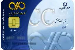 کارت‌های اعتباری خرید کالای ایرانی در شعب بانک‌ها خاک می‌خورند/ اجرای طرح کارت اعتباری خرید کالای ایرانی ناموفق بود