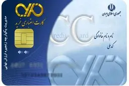 کارت‌های اعتباری خرید کالای ایرانی در شعب بانک‌ها خاک می‌خورند/ اجرای طرح کارت اعتباری خرید کالای ایرانی ناموفق بود