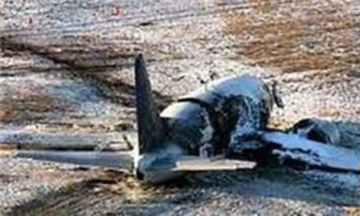 نیروهای یمنی هواپیمای جاسوسی سعودی‌ها را سرنگون کردند