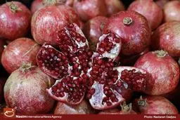 جشنواره انار در مصلی تهران