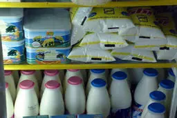 هیأت‌های خارجی در جستجوی بازار ایران برای فروش محصولات لبنی‌/ خودمان مازاد تولید داریم