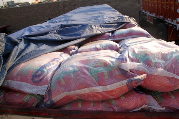 کشف برنج‌ تاریخ مصرف گذشته در کیسه‌های برنج‌ معروف هندی در کرج/ ۲ تن دستگیر شدند