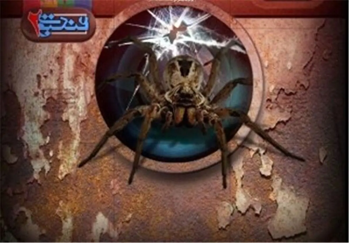 پروژه "عنکبوت ۲" با هدف پالایش اخلاقی اینستاگرام با موفقیت انجام شد