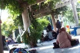 بازگشت 