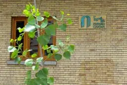 شرمنده‌ام! بازیگر نازنین عضو خانه سینما