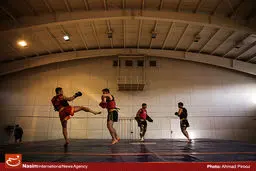 انتخابی تیم ملی ووشو چهارشنبه برگزار می شود