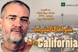 مستند 